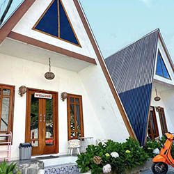 Cottage Triangle Dieng 0